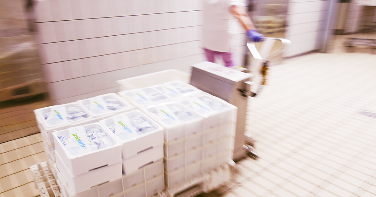 Caseificio Laziolatte - Mozzarella, Fiordilatte, Formaggi, Ricotta, Latticini